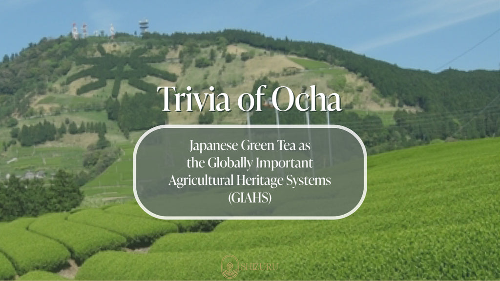 Trivia of Ocha